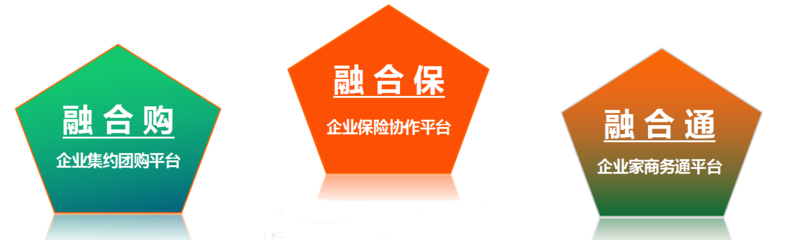 融合保ppt.png